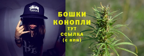 дмт Михайловск